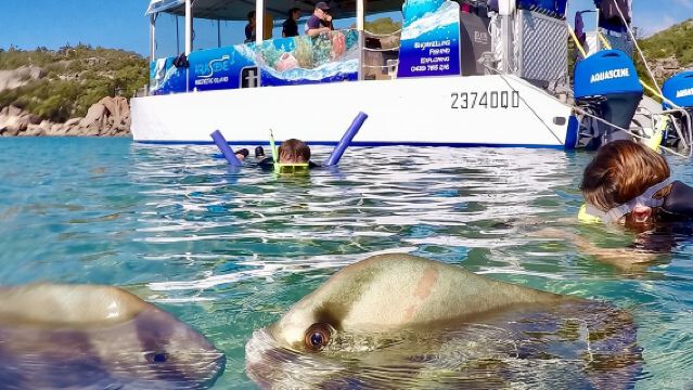 Magnetic Island Discovery Tour with Snorkeling & Paddle Boarding