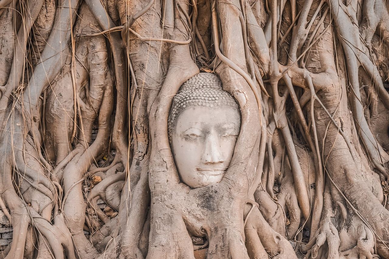 タイ・バンコク｜世界遺産アユタヤ遺跡+象乗り体験 半日ツアー｜午前出発・日本語ガイド付き