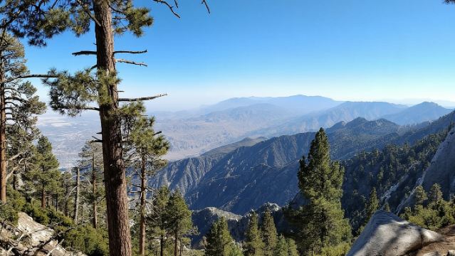 Palm Springs Aerial Tramway Admission Ticket