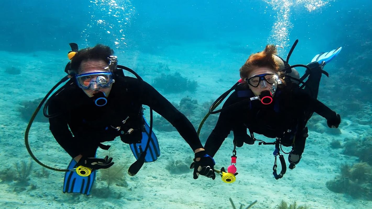 สกูบาไดฟ์.เออี+หาดสาธารณะจุมเหราย ประสบการณ์ดำน้ำ การดำน้ำสกูบา 0.5 ชั่วโมง [ประสบการณ์การดำน้ำสกูบาที่ดูไบ]