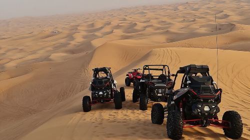 Dubai Morning Buggy Dunes Safari with Sandboarding & Camel Ride Day Tours 8