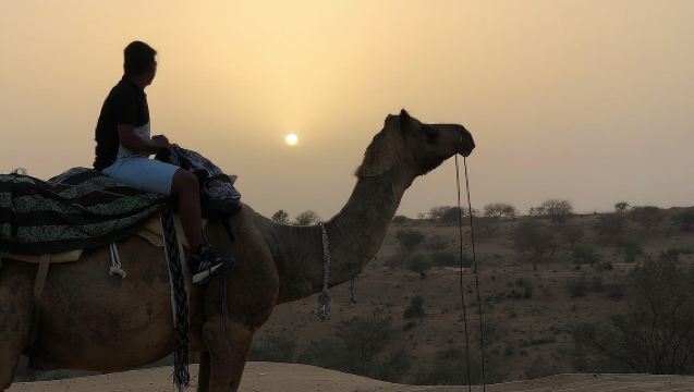 Desert Camel Safari & Jeep Safari Tour From Jodhpur