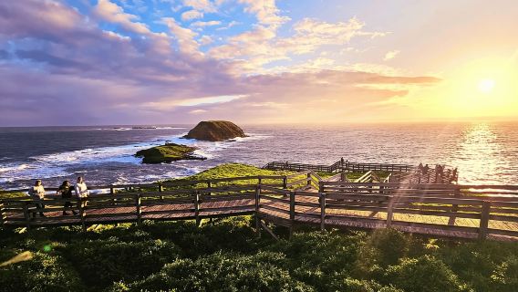 From Melbourne: Puffing Billy & Penguins Combo Tour Package