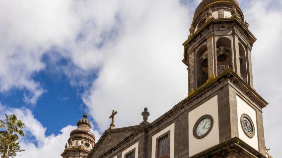 Desde Costa Adeje o Santa Cruz: Tour Contrastes de Tenerife