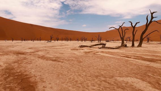 Sossusvlei: Day Trip