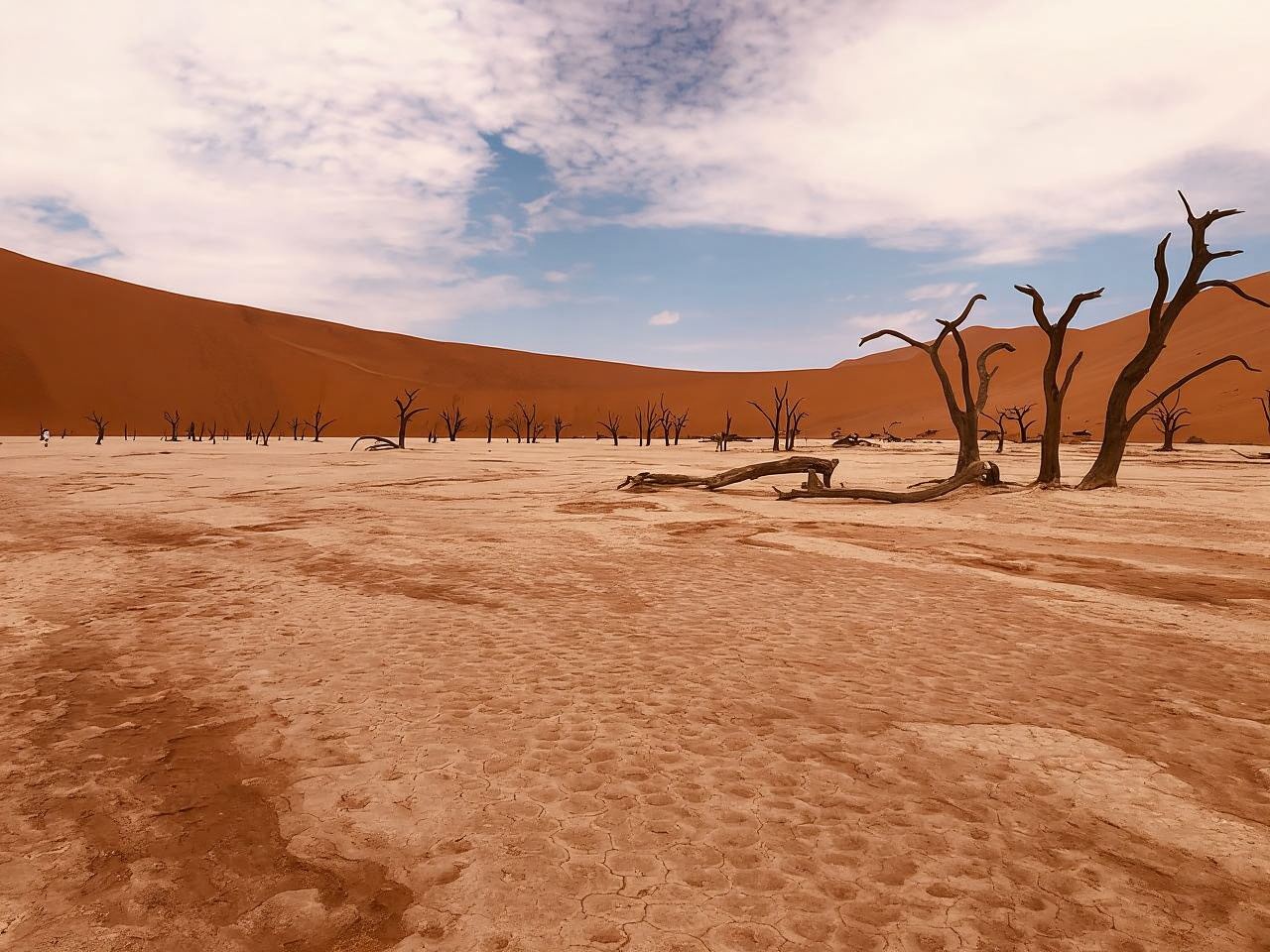Sossusvlei: Day Trip