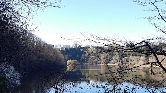 A Day Hike in Mervent Forest (Vendée)
