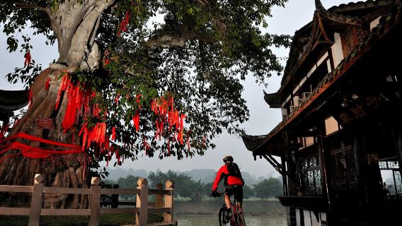Chengdu: Rundgang durch den Riesenbuddha von Leshan und die Altstadt von Huanglongxi