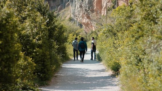 Escursione da San Sebastian a San Pedro attraverso il Cammino di Santiago