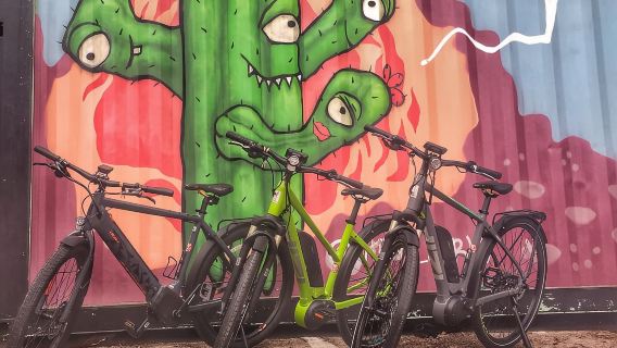 Austin: Electric Bike City Sightseeing Tour