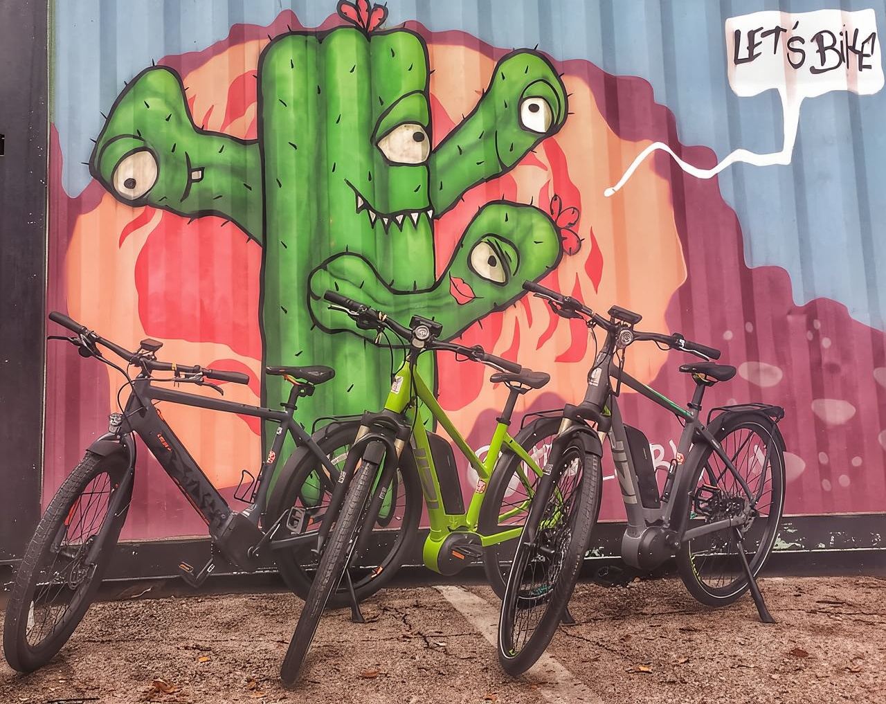 Austin: Electric Bike City Sightseeing Tour