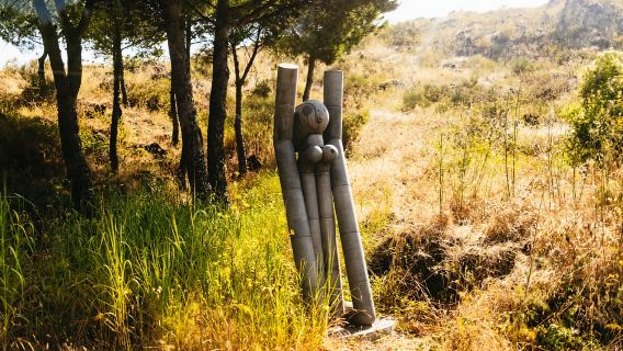 Da Napoli: tour di mezza giornata sul Vesuvio con tutto incluso