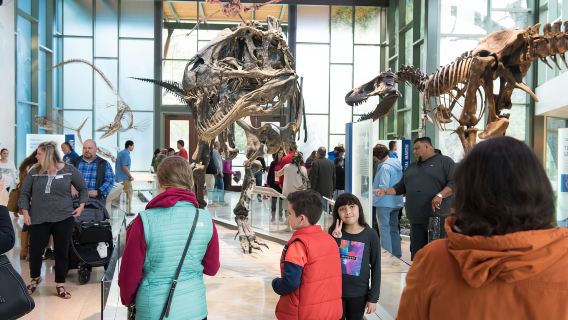 San Antonio: Tiket Masuk Muzium Witte