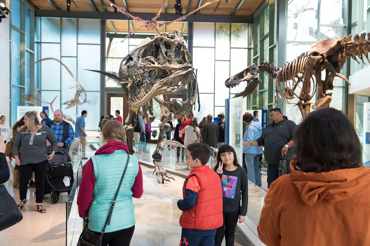 San Antonio: Witte Museum Admission Ticket
