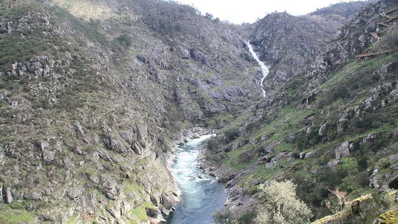 Ab Porto: Führung über die Arouca-Brücke 516 und die Paiva-Gehwege
