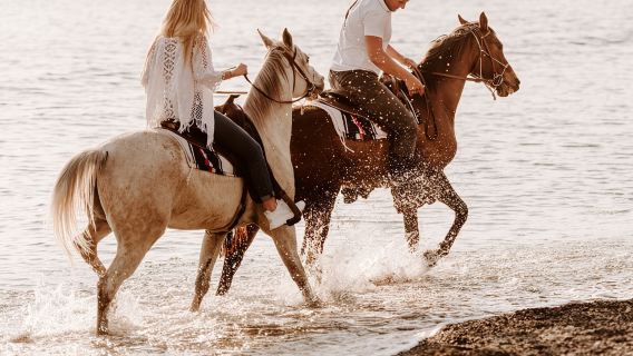 Lado: Paseo a Caballo en la Naturaleza con Traslado Opcional
