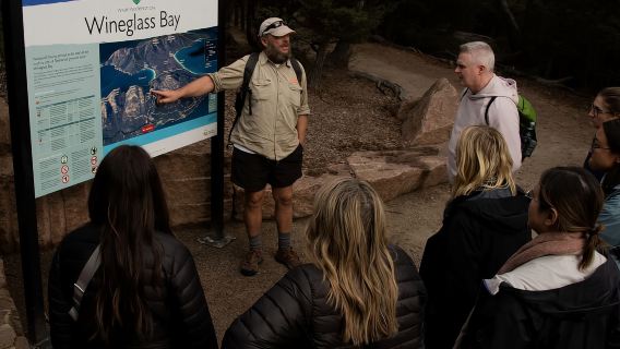 Hobart: Tour activo por la Bahía Wineglass y el Parque Nacional de Freycinet