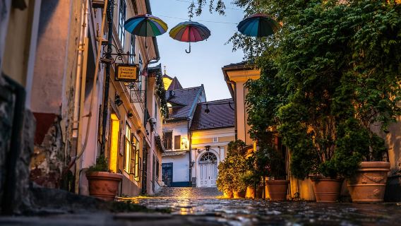 From Budapest: Full or Half Day Danube Bend Cruises