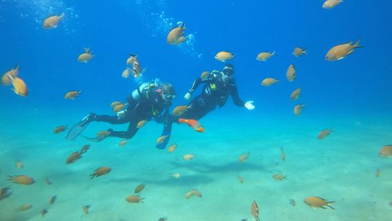 Lanzarote: Pembaptisan menyelam di Puerto de Carmen 2 Dives