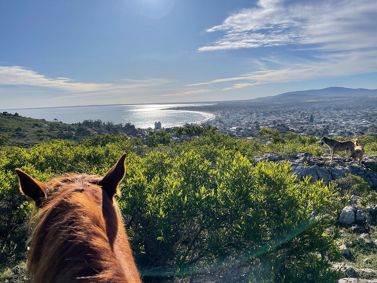 Punta del Este: Vive una inolvidable cabalgata en la naturaleza