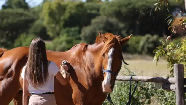 Escape from the city: Cowboy experience with meals & wines