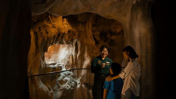 Singapur: Eintrittskarte für den Regenwald Wild Asia