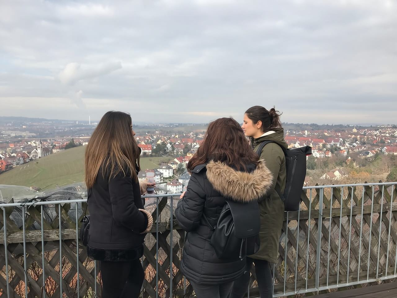 Stuttgart: Geführte Glühweintour