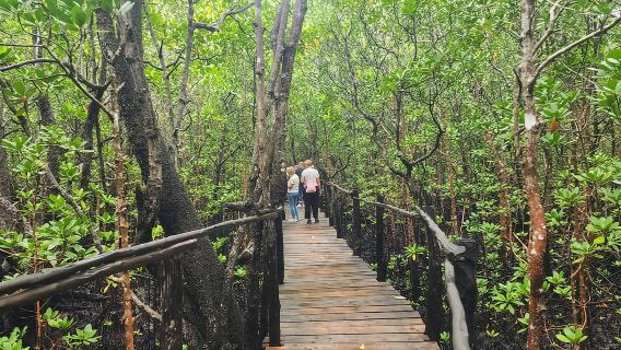 Zanzibar: visita guidata al Parco Nazionale della Foresta di Jozani