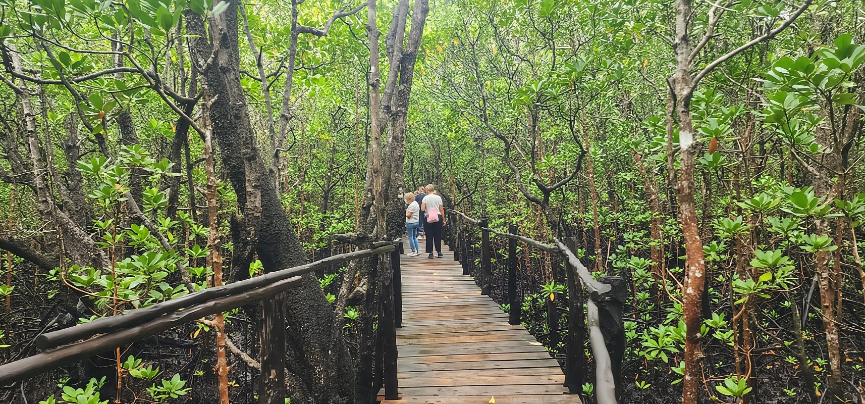 Zanzibar: Lawatan Berpandu Taman Negara Hutan Jozani
