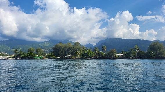 Servicio de coche privado con conductor en Papeete/Tahití, Polinesia Francesa (itinerario ajustable/servicio en chino e inglés)