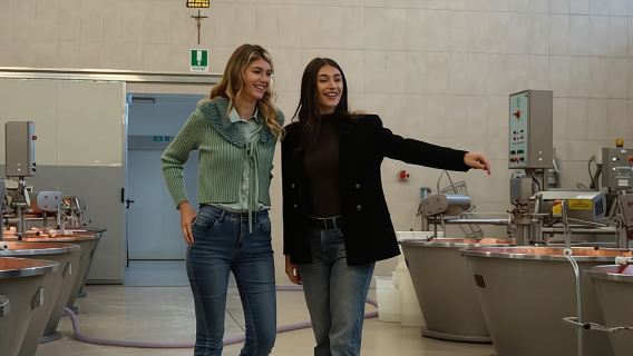 From Bologna: Parma Cheese & Ham Factory Tours and Tastings