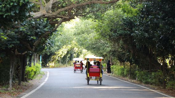 บริการพิเศษรับที่สนามบิน ทัวร์ 1 วัน เถาหยวน เพิร์ลโคสต์ ไลฟ์สไตล์เพื่อสุขภาพ