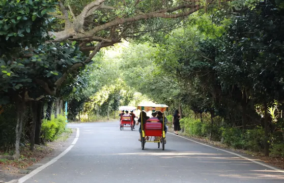 機場入境專屬、桃園珍珠海岸樂活行【一日遊】