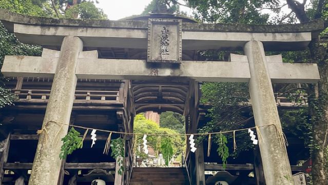 Đỉnh Thiêng & Lối Cổ: Trải Nghiệm Leo Núi Kurama-Kibune