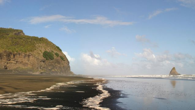 Coast and Rainforest Walk