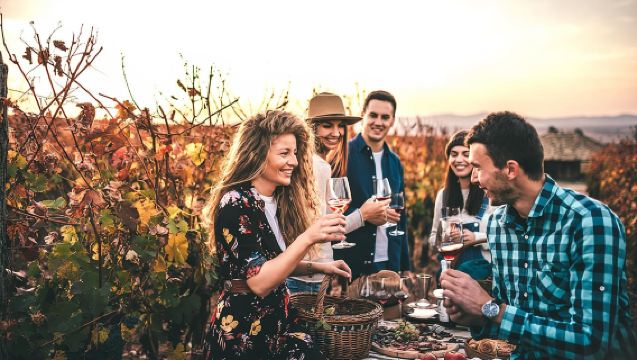 Napa and Sonoma Wine Country Full-Day Tour from San Francisco