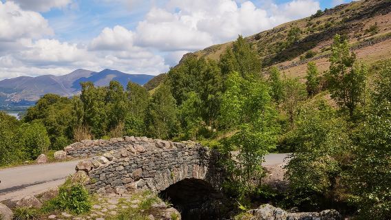 Mountain Goat Full Day Tour: Ten Lakes from Oxenholme