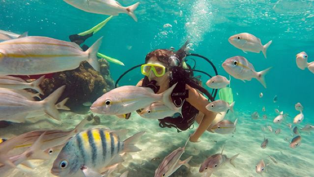 Entdecken Sie die Schönheit der Unterwasserwelt: Erkunden Sie das Parrachos-Riff vor Maracajaú