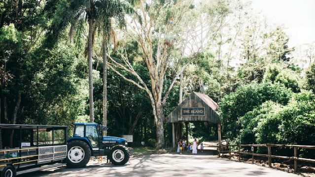 Tropical Fruit World Farm Full Tour