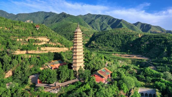 【運城包車】普救寺+大鐵牛+鸛雀樓+萬固寺+西侯度遺址一日遊