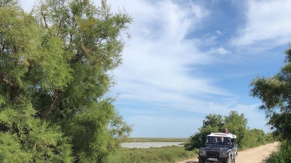 4x4 Camargue Safari 4h - Departure from Arles