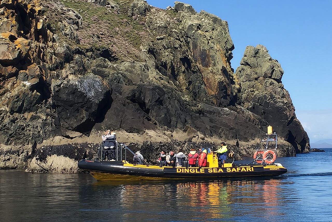 Expérience exaltante en semi-rigide - Safari en mer à Dingle