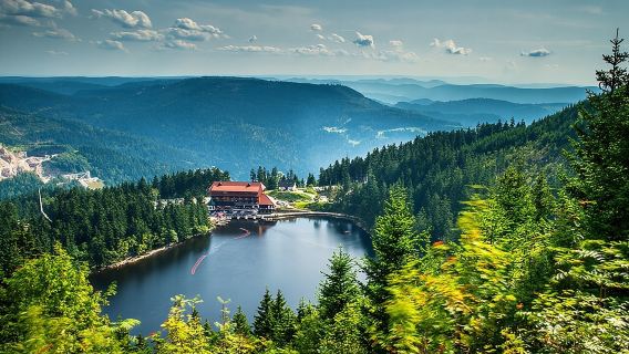 Black Forest. From Baden-Baden to Strasbourg. Two countries in one day