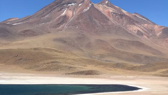 Full Day Tour to Piedras Rojas, Altiplanic Lagoons and Chaxa