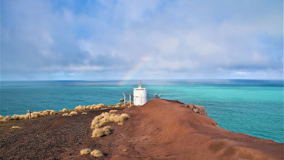 Scenic nature safari half-day tour