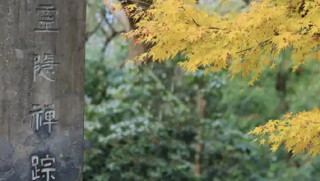 杭州西湖＋靈隱寺半日遊