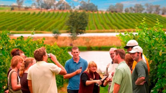 [Includes Wine Tasting] 1-day Tour to Yarra Valley & Dandenongs Ranges Wineries from Melbourne / A Wine Feast