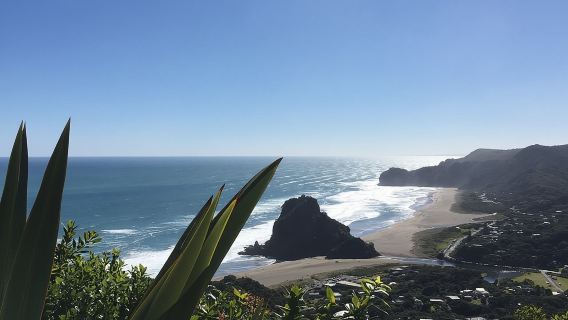 6-часовая обзорная экскурсия по Окленду