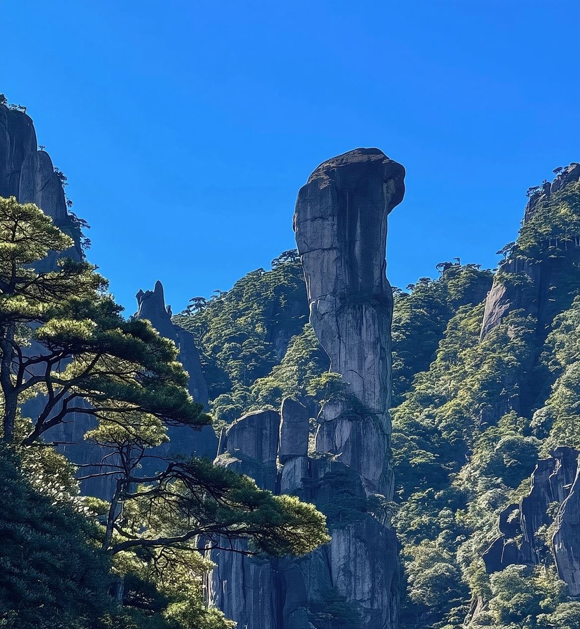 江西上饒三清山人員導覽服務【門票自理+優質導覽員服務】