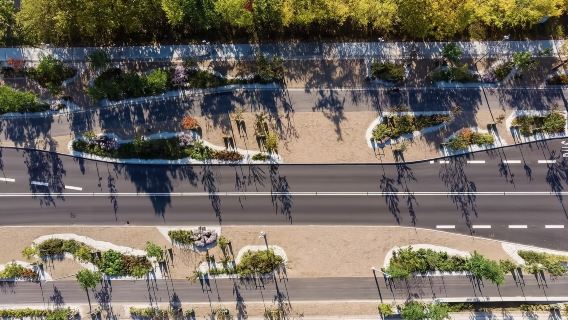 包車盡享巴勒魯普：歷史、休閒、親子、速度之旅